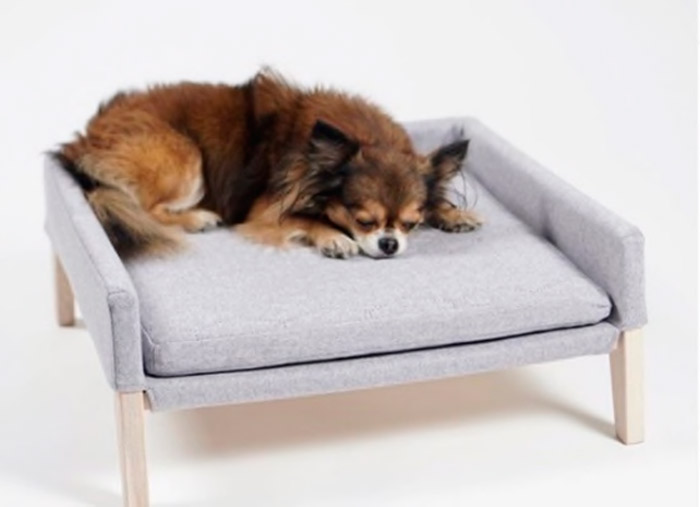 sofa cama perros pequeños
