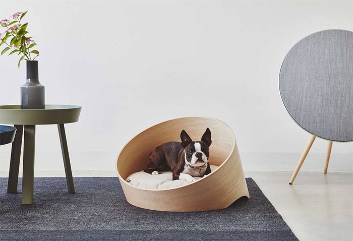 cama de diseño para perros