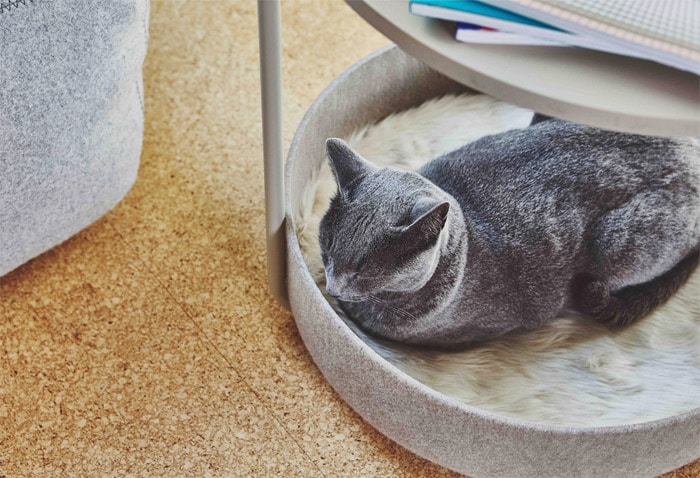 cama de diseño para gatos