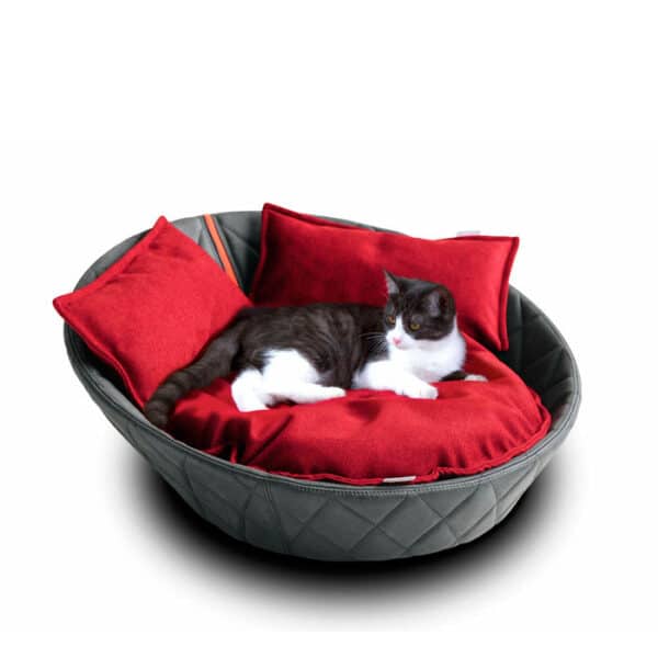 cama de lujo para gatos