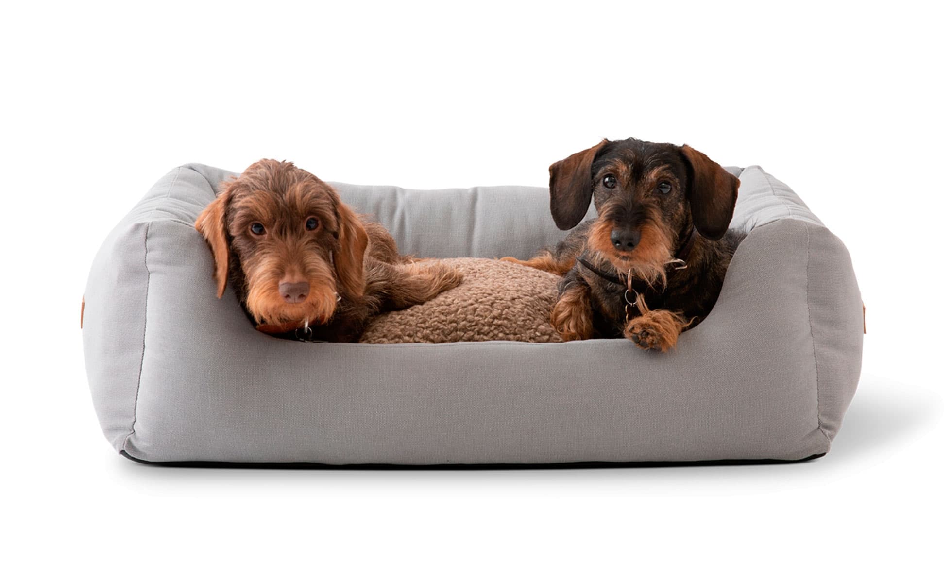 camas para perros pequeños