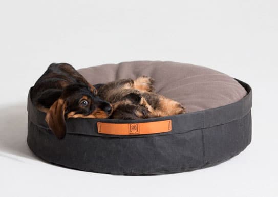camas para perros pequeños