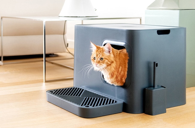 ARENEROS-DE-DISEÑO-PARA-GATOS