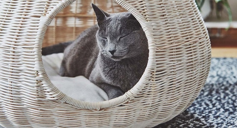 CAMAS-DE-LUJO-PARA-GATOS