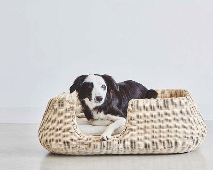 CAMAS-Y-COCLHONES-DE-LUJO-PERROS