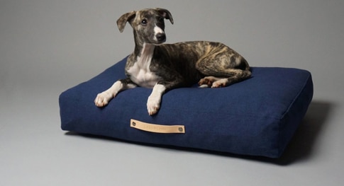colchones perros