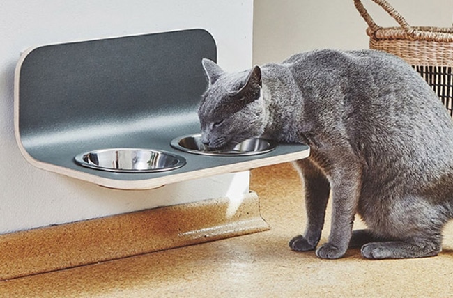 COMEDERO-DE-DISEÑO-PARA-GATOS