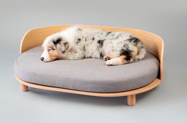 SOFAS-DE-DISEÑO-PARA-PERROS